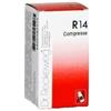 DR.RECKEWEG & CO. GmbH Reckeweg r14 100cpr 0,1g