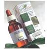 SANGALLI Srl Serenoa frut maturi tintura madre 100 ml
