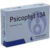 BIOGROUP SpA SOCIETA' BENEFIT Psicophyt remedy 13a 4 tubi 1,2 g