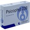 BIOGROUP SpA SOCIETA' BENEFIT Psicophyt remedy 23b 4 tubi 1,2 g