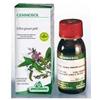 SPECCHIASOL Srl Gemmosol 3 ippocastano 50ml