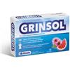 BIOTRADING Srl UNIPERSONALE Grinsol 15 fiale x 5 ml