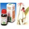 SPECCHIASOL Srl Echinacea 59 50ml tm