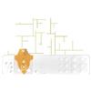 BIOSEVEN Srl Strisce misurazione glicemia linea d oro 50 pezzi