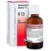 DR.RECKEWEG & CO. GmbH Reckeweg r13 gocce 22ml