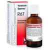 DR.RECKEWEG & CO. GmbH Reckeweg r67 gocce 22ml