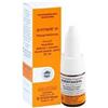 SANUM-KEHLBECK GmbH & CO. KG Quentakehl d5 10ml gtt sanum