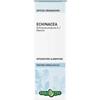 ERBA VITA GROUP SpA Echinacea radice soluzione idroalcolica 50 ml