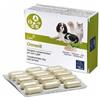 CAMON SpA Ormevit 60 compresse