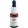 BUSH BIOTHERAPIES Pty Ltd Angelsword gocce 15 ml