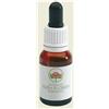 BUSH BIOTHERAPIES Pty Ltd She oak australian gocce 15 ml