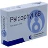 BIOGROUP SpA SOCIETA' BENEFIT Psicophyt remedy 6b 4 tubi 1,2 g