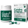 INNOVET ITALIA Srl Condrostress + cat 30 capsule monodose