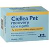 N.B.F. LANES Srl Ciellea pet recovery blister 60 perle