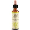 SCHWABE PHARMA ITALIA Srl Honeysuckle bach orig 20 ml