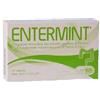 LAERBIUM PHARMA Srl Entermint 30 capsule da 420 mg
