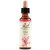 SCHWABE PHARMA ITALIA Srl Oak bach orig 20 ml