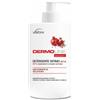 VEBI ISTITUTO BIOCHIMICO Srl Vebix dermoline melograno detergente intimo 500 ml