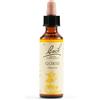 SCHWABE PHARMA ITALIA Srl Gorse bach orig 20 ml