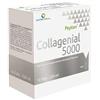 AQUA VIVA Srl Collagenial 5000 10 fiale 25 ml