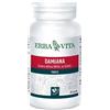 ERBA VITA GROUP SpA Damiana 60 capsule 400 mg