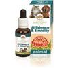 BUSH BIOTHERAPIES Pty Ltd Diffidence & timidity 30 ml