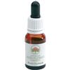 BUSH BIOTHERAPIES Pty Ltd Bush fuchsia gocce 15 ml
