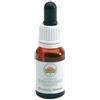 BUSH BIOTHERAPIES Pty Ltd Banksia robur gocce 15 ml