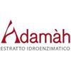ADAMAH Srl Eie rhodiola 60 ml gocce