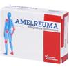 GRUPPO AMELFARMA di Cioni V. Amelreuma 30 compresse