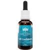 BUSH BIOTHERAPIES Pty Ltd Self confidence essence australian 30 ml