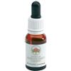 BUSH BIOTHERAPIES Pty Ltd Autumn leaves gocce 15 ml