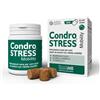 INNOVET ITALIA Srl Condrostress mobility 30 soft chews