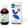 FITOMEDICAL Srl Erisimo tintura madre 50 ml bio