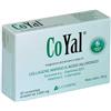 INTERFARMAC Srl Coyal 30 compresse gastroprotette