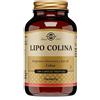 SOLGAR IT. MULTINUTRIENT SpA Lipo colina 100 capsule vegetali