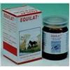 VEGETAL PROGRESS Srl Equilat bio 80 capsule