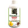 UNION BIO Srl Trauma plus 500 ml