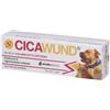 SHEDIR PHARMA Srl Unipersonale Cicawund gel 30 ml