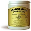DR.GIORGINI SER-VIS Srl Magnesium compositum polvere 500 g