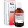 DR.RECKEWEG & CO. GmbH Reckeweg r47 gocce 22ml
