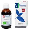 FITOMEDICAL Srl Sambuco tintura madre 50 ml bio