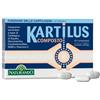 NATURANDO Srl Kartilus composto 40 compresse