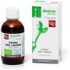 FITOMEDICAL Srl Cedro del libano macerato glicerico 50 ml bio