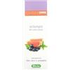 DERBE Srl Derbe shampoo anti untuosita' 200 ml