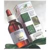 SANGALLI Srl Echinacea radice tintura madre 100 ml