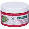 KLORANE (Pierre Fabre It. SpA) Klorane maschera fico d'india 250 ml