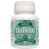 NAWAYTO D.O.O. Shatavari asparagus 60 compresse