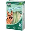 ELANCO ITALIA SpA Joki dent fresh-stripes 140 g per cani di taglia grande