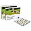 CAMON SpA Orme nat artosalus 60 compresse